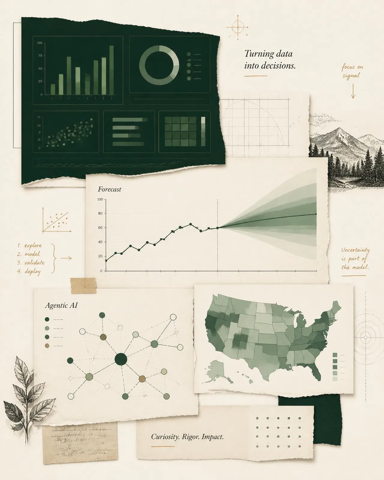 A collage of the work I do: dashboards, forecasting, agentic AI and geospatial analysis